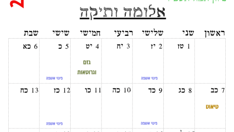 אלומה ותיקה.png