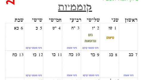 קוממיות.png
