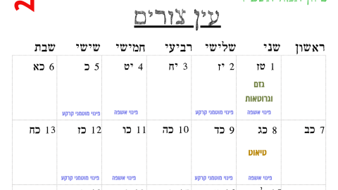 עין צורים.png