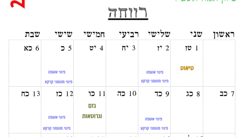 רווחה.png