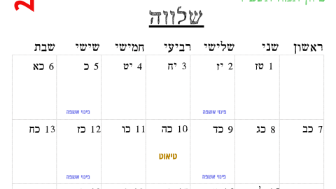 שלווה.png