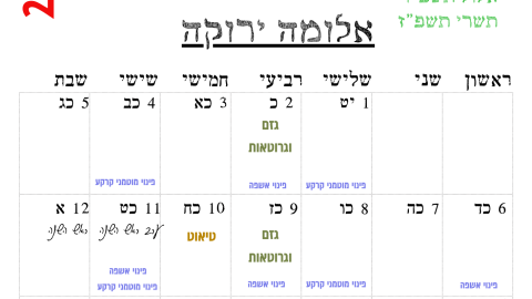 אלומה ירוקה.png