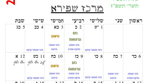 מרכז שפירא.png