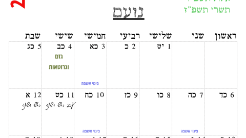 נועם.png