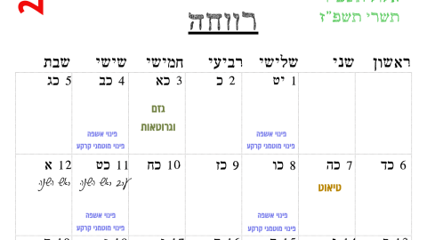 רווחה.png