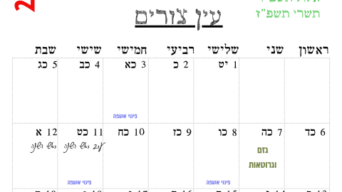 עין צורים.png