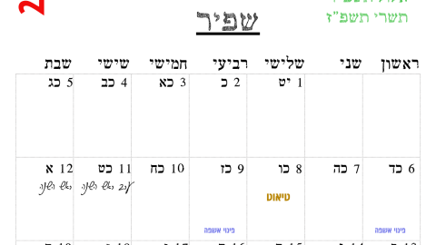 שפיר.png
